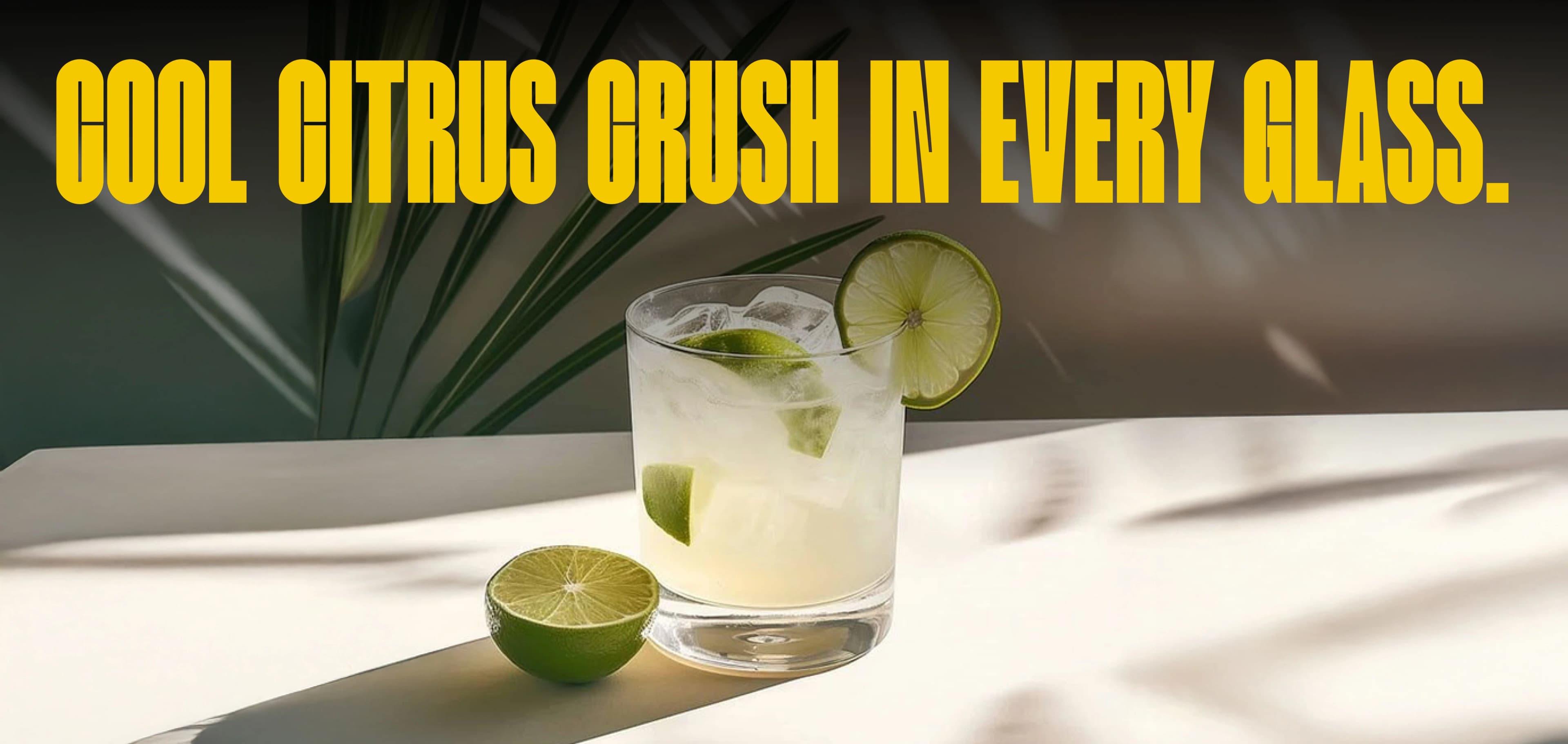BarCraft Mojito Mixer: Zesty Lime and Fresh Mint, Without the Muddling
